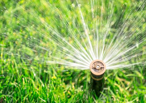 lawn watering tips
